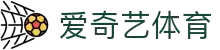 爱奇艺体育 | 足球直播-欧洲杯、NBA、英超高清直播,免费无插件畅看